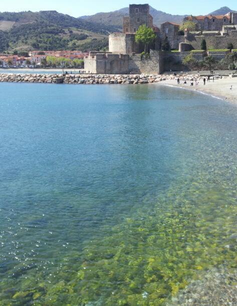 Charme A 20 M De La Plage Centre Village Collioure Exterior photo