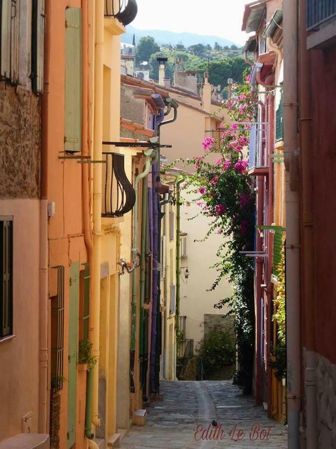 Charme A 20 M De La Plage Centre Village Collioure Exterior photo