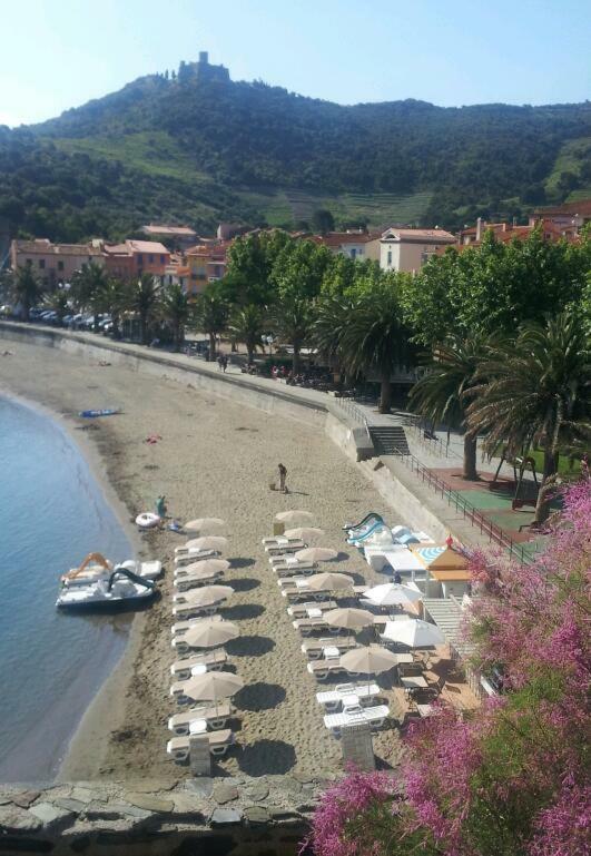 Charme A 20 M De La Plage Centre Village Collioure Exterior photo